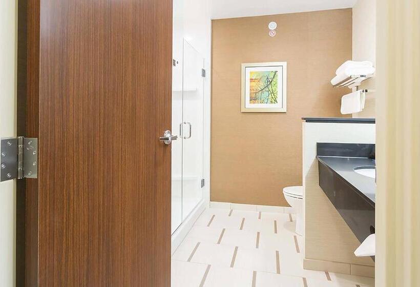 带大床的标准间, Fairfield Inn & Suites By Marriott Jamestown