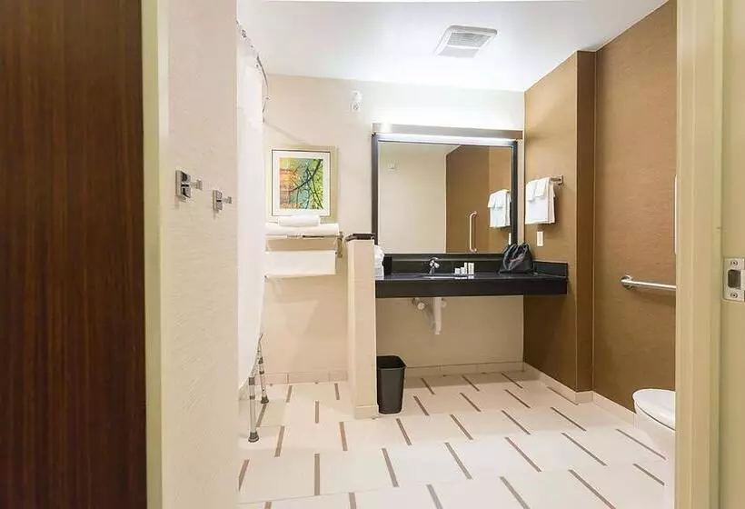 キングサイズベッドのスタンダードルーム, Fairfield Inn & Suites By Marriott Jamestown