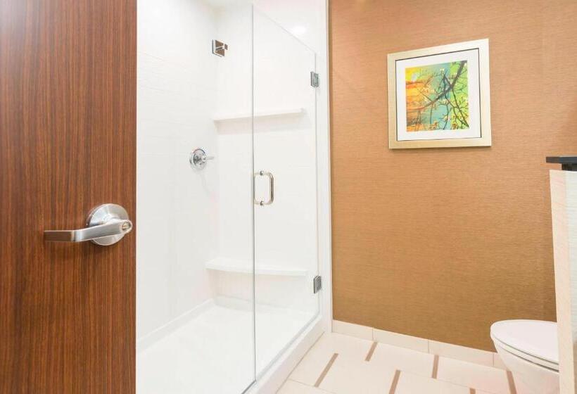 行政套房, Fairfield Inn & Suites By Marriott Jamestown