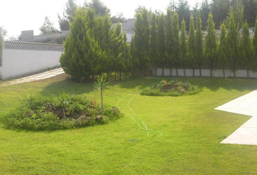 Студия Superior, Haris