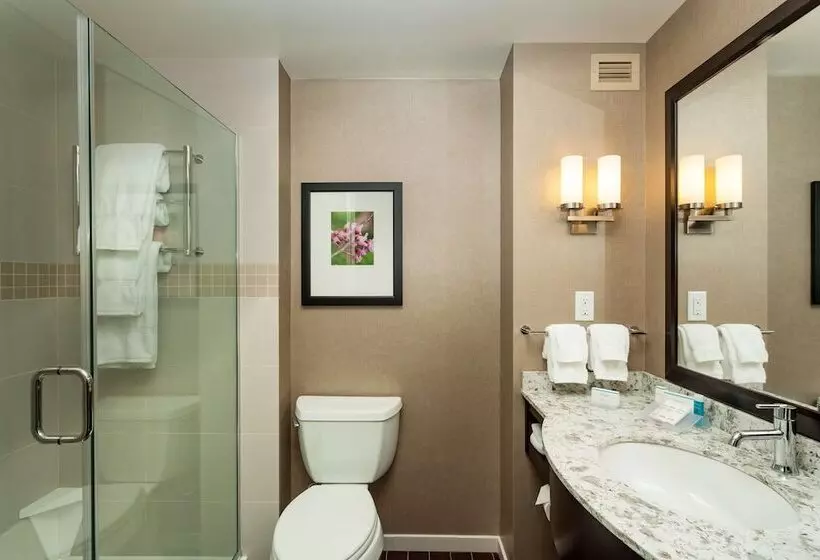 身障者適用スタンダードルーム, Hilton Garden Inn Seattle Downtown