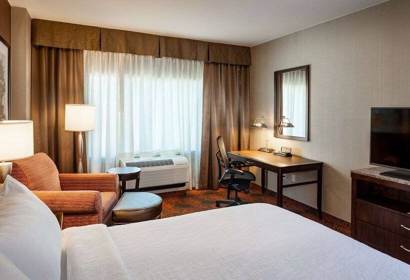 اتاق استاندارد برای معلولان, Hilton Garden Inn Seattle Downtown