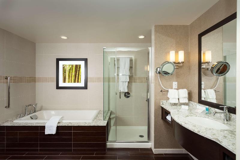 带大床的豪华间, Hilton Garden Inn Seattle Downtown