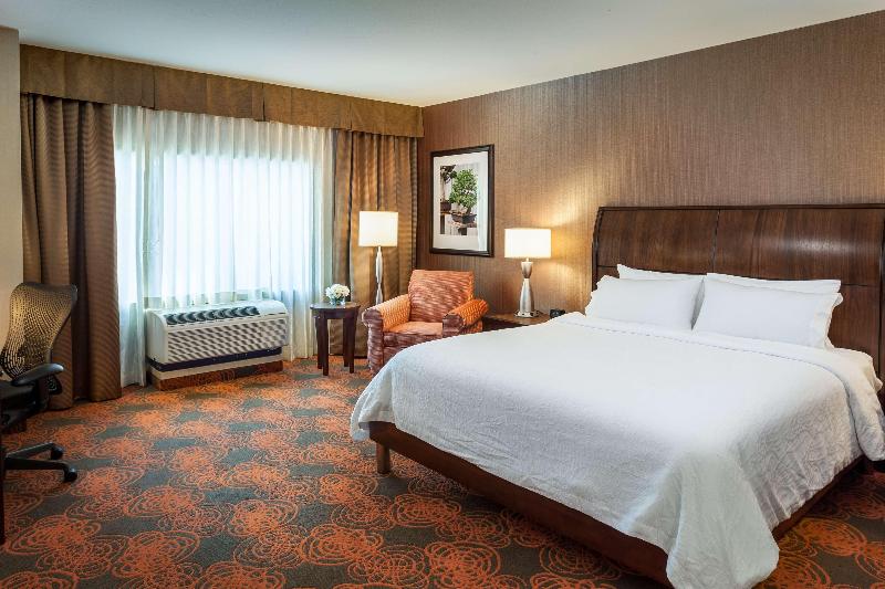 اتاق استاندارد با تخت بزرگ, Hilton Garden Inn Seattle Downtown