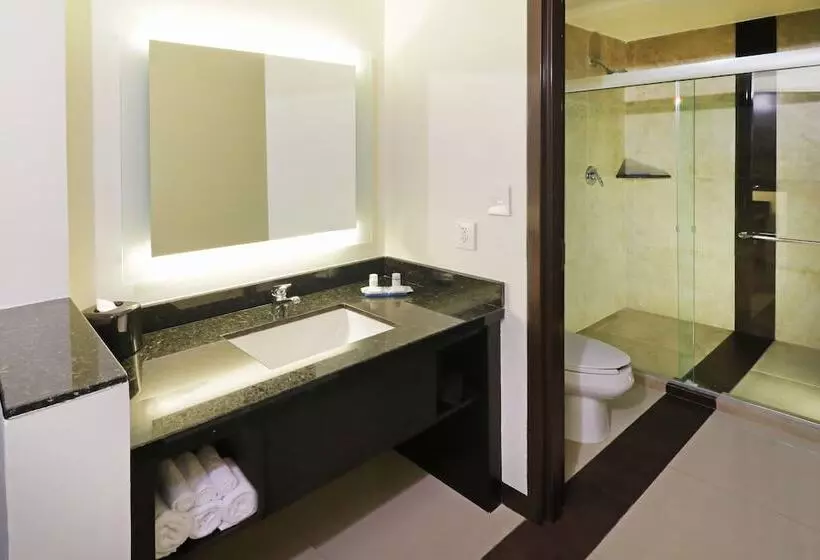 スタンダードルーム, Holiday Inn Express Tuxpan By Ihg