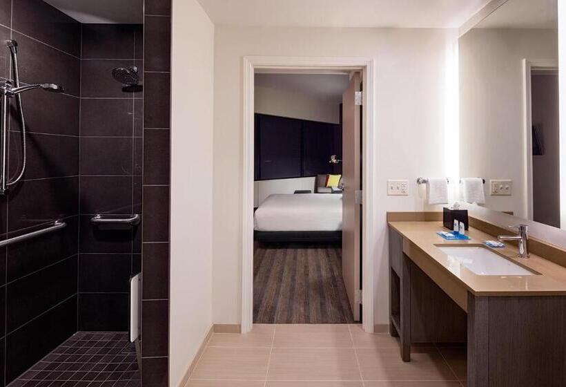 带大床的套房, Hyatt House New Orleans Downtown