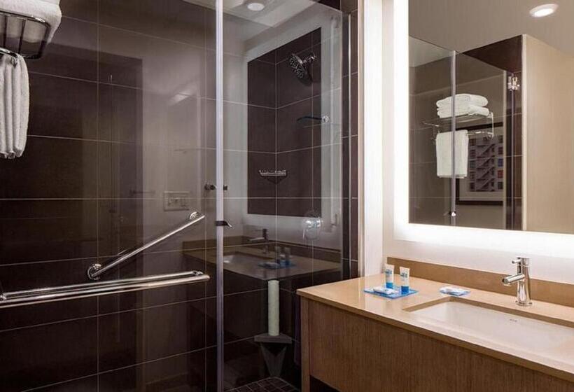 带大床的标准工作室, Hyatt House New Orleans Downtown