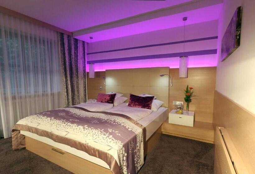 Номер Superior Одноместный, Lenauhof