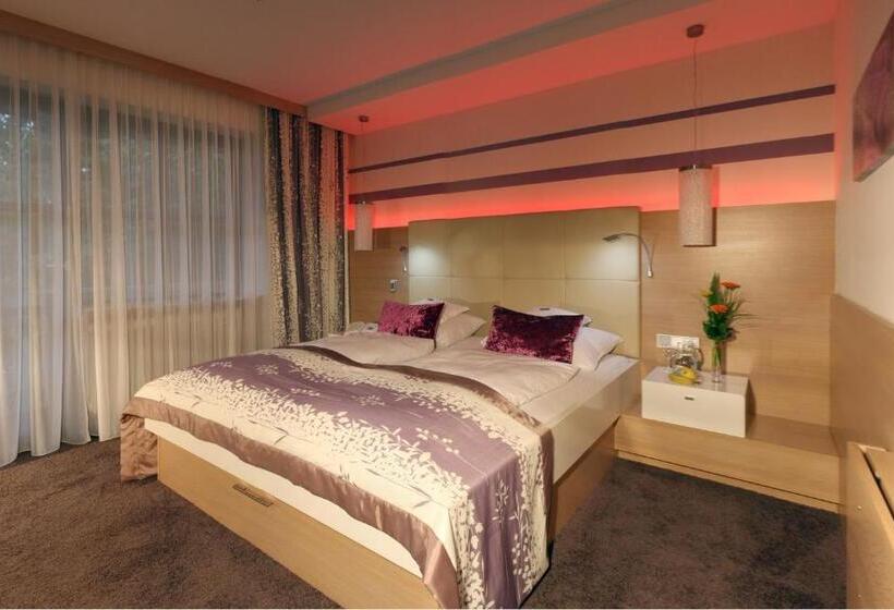 Номер Superior Одноместный, Lenauhof