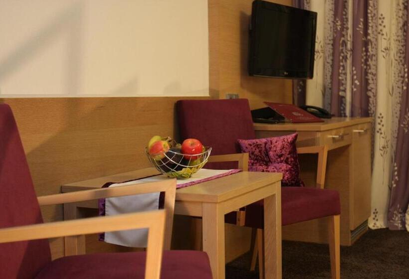 Номер Superior Одноместный, Lenauhof