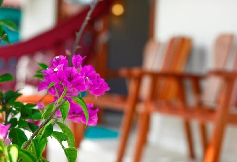 海景标准平房, Pousada Xalés De Maracaípe