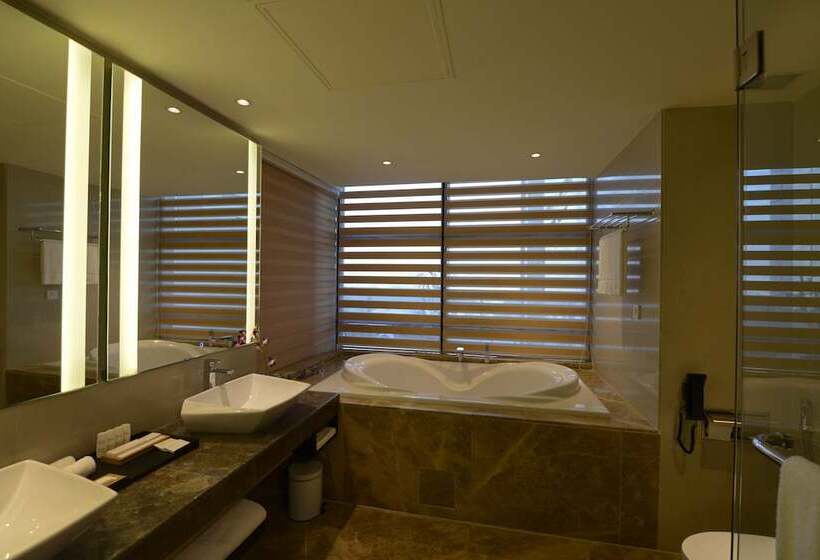 Номер бизнес-класса, Radisson Blu Chattogram Bay View