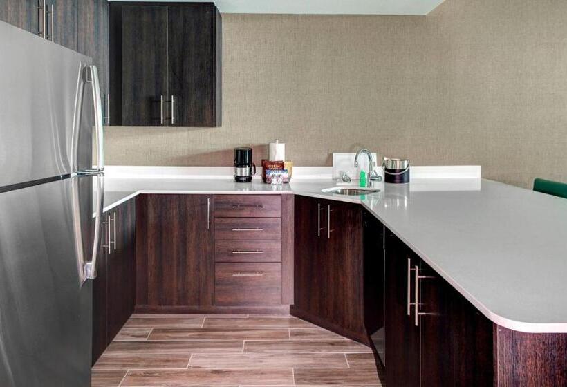 جناح, Residence Inn By Marriott Miami Beach Surfside