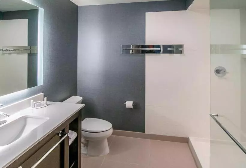 استودیوی استاندارد با چشم‌انداز شهر, Residence Inn By Marriott Rapid City