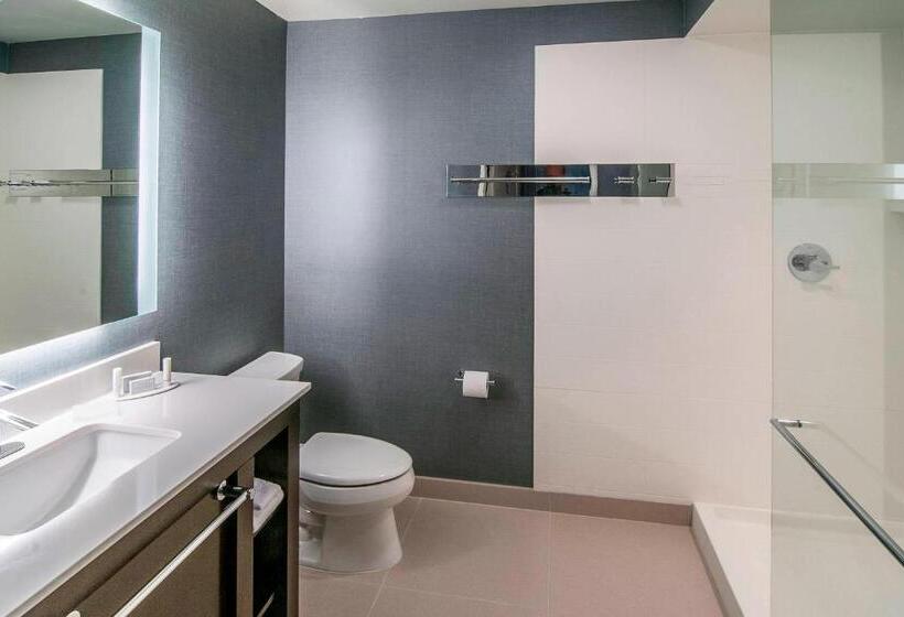 带城市景观的套间, Residence Inn By Marriott Rapid City