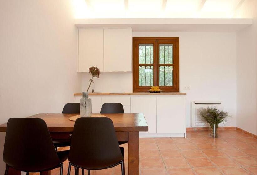 침실 1개 테라스 아파트, Principal Son Amoixa