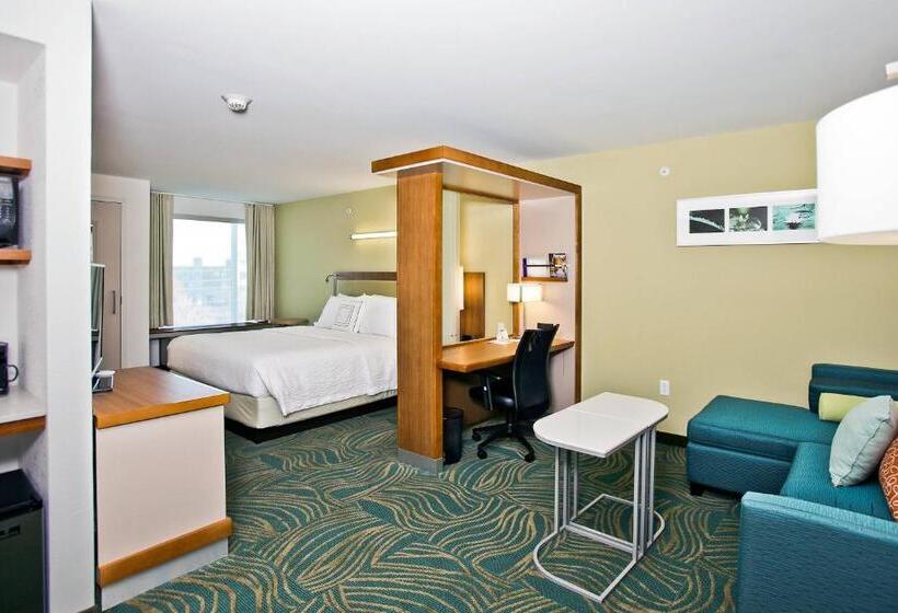 带大床的标准工作室, Springhill Suites By Marriott Mobile West