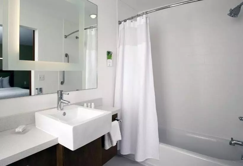スタンダードスタジオ, Springhill Suites By Marriott Mobile West