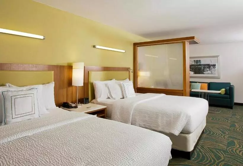 スタンダードスタジオ, Springhill Suites By Marriott Mobile West