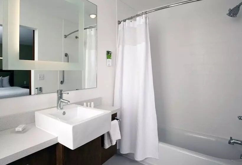 スタンダードスタジオ, Springhill Suites By Marriott Mobile West