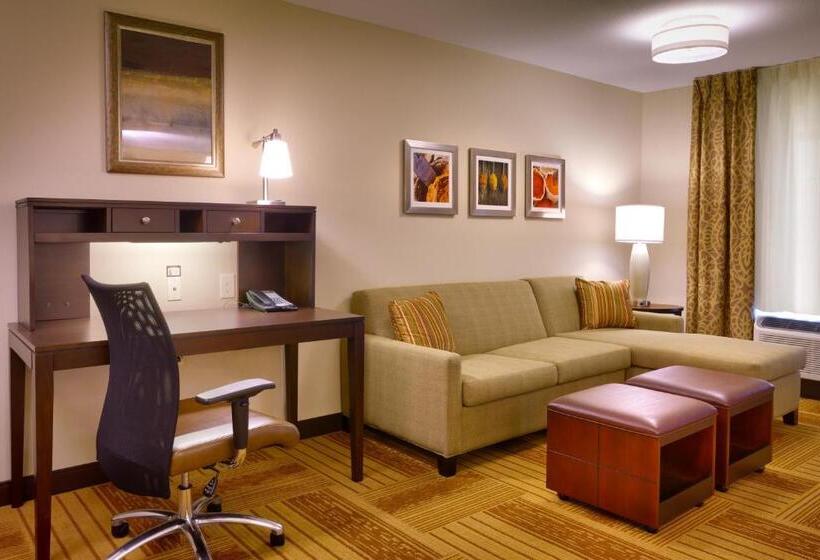 جناح لذوى الاحتياجات الخاصة, Staybridge Suites Cheyenne, An Ihg