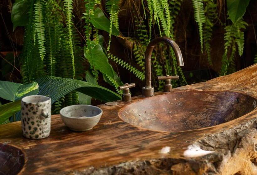 标准工作室, Uxua Casa Hotel & Spa