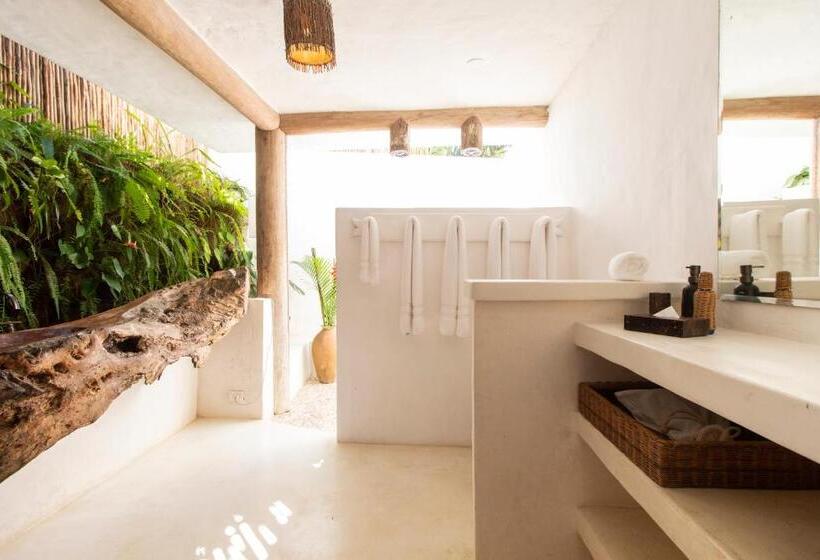 标准工作室, Uxua Casa Hotel & Spa