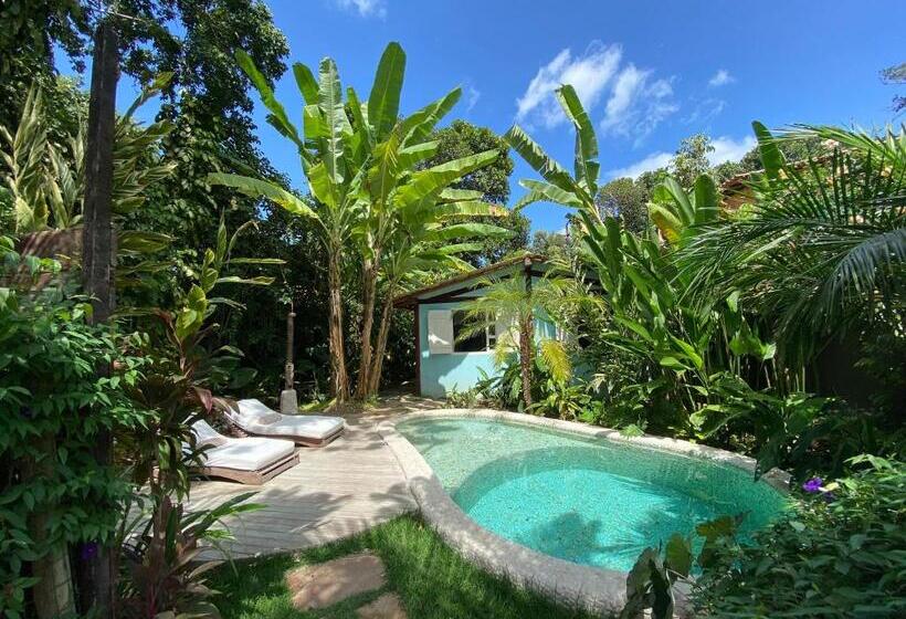 套房, Uxua Casa Hotel & Spa