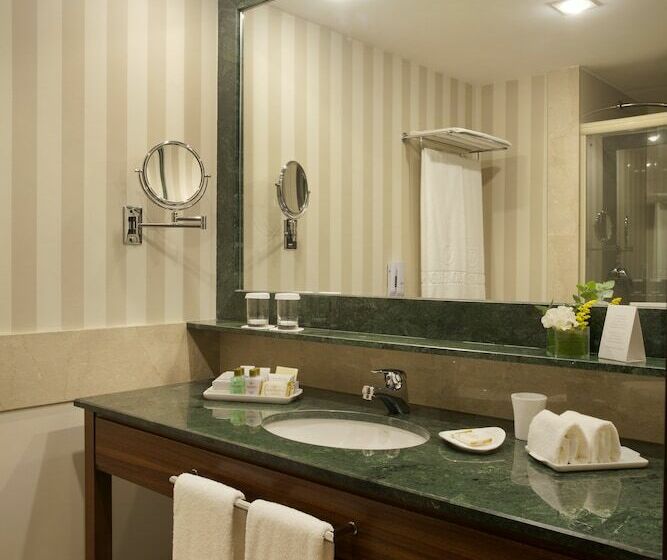 اتاق سوپریور, Windsor Oceanico