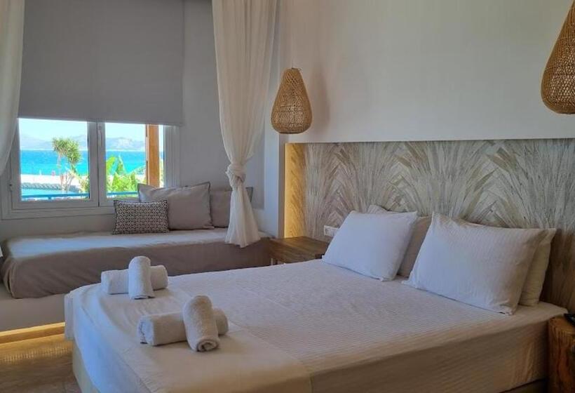 اتاق استاندارد سه نفره, Alexandra