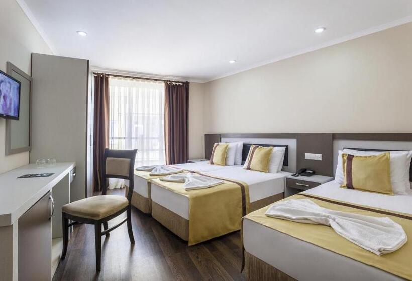 اتاق لوکس سه تخته, Ayhan