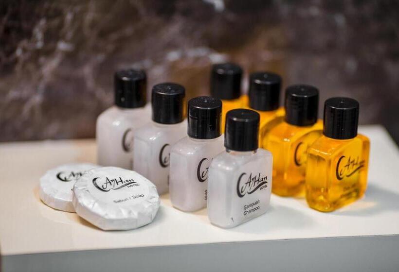 اتاق لوکس, Ayhan