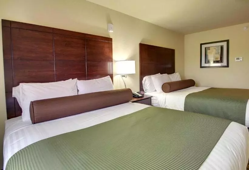 デラックスルーム, Cobblestone Inn & Suites Winterset