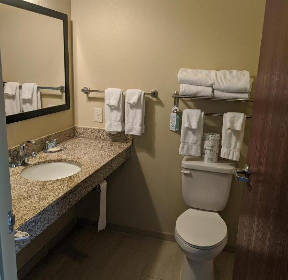 Номер Deluxe Кровать Кинг, Cobblestone Inn & Suites Winterset
