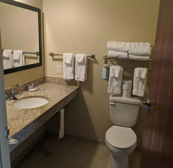 キングサイズベッドのデラックスルーム, Cobblestone Inn & Suites Winterset