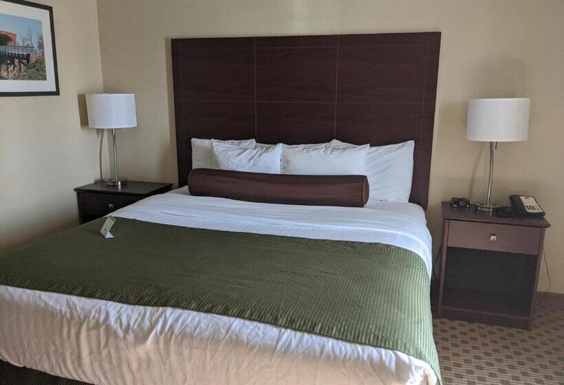 스탠다드 룸 킹사이즈 침대, Cobblestone Inn & Suites Winterset