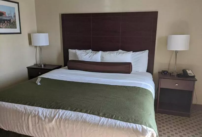 キングサイズベッドのデラックスルーム, Cobblestone Inn & Suites Winterset