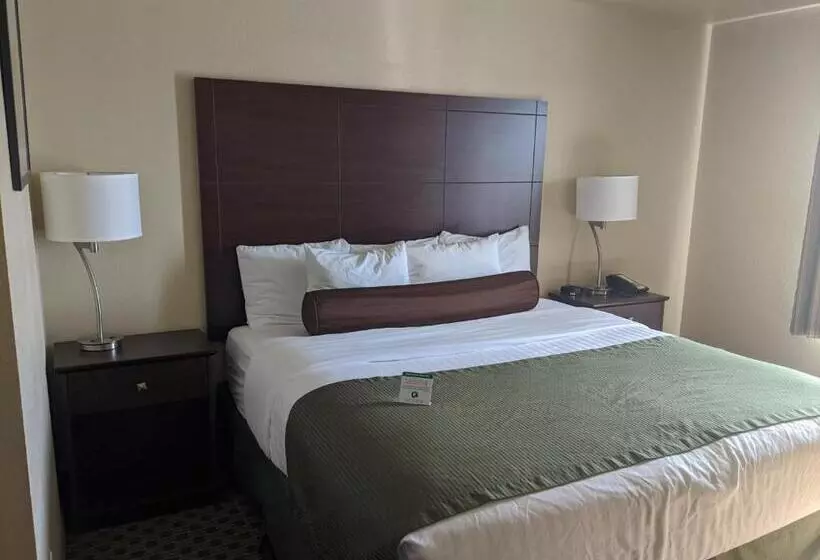キングサイズベッドのデラックスルーム, Cobblestone Inn & Suites Winterset