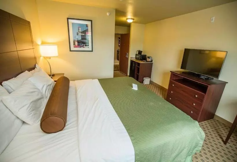 キングサイズベッドのデラックスルーム, Cobblestone Inn & Suites Winterset