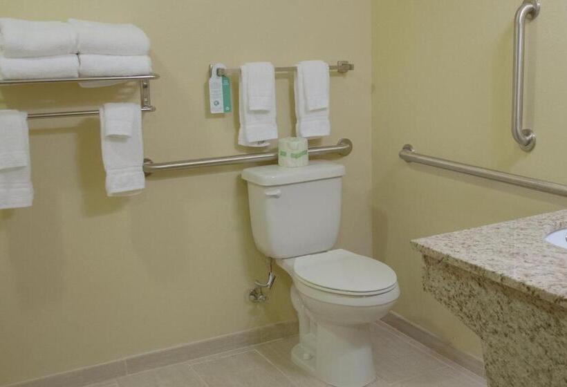 장애인을 위한 스탠다드 룸, Cobblestone Inn & Suites Winterset