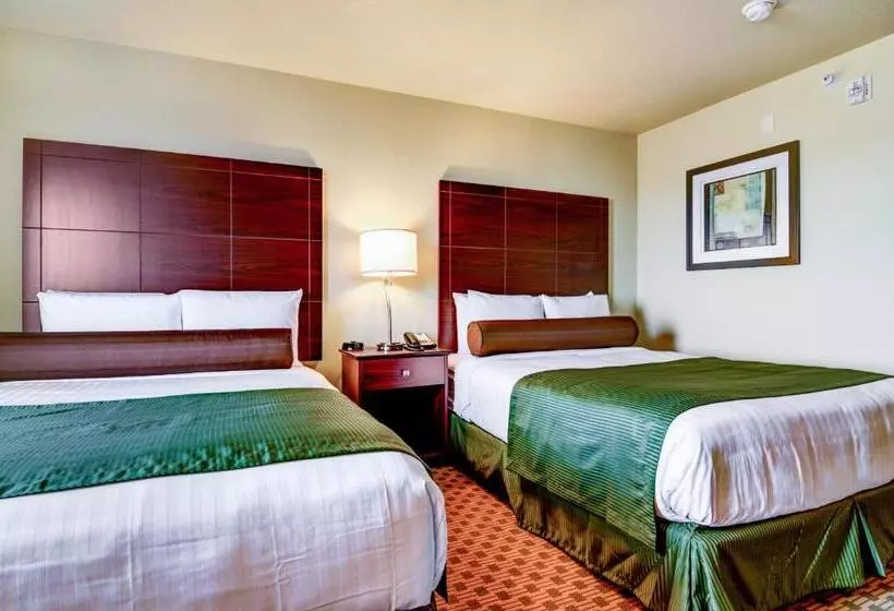 身障者適用スタンダードルーム, Cobblestone Inn & Suites Winterset