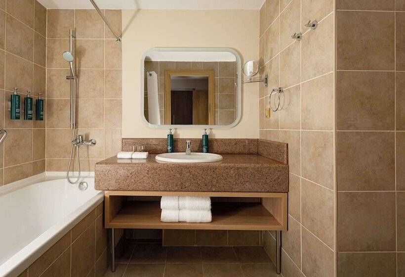 اتاق لوکس, Doubletree By Hilton Shymkent