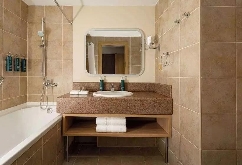 اتاق لوکس, Doubletree By Hilton Shymkent