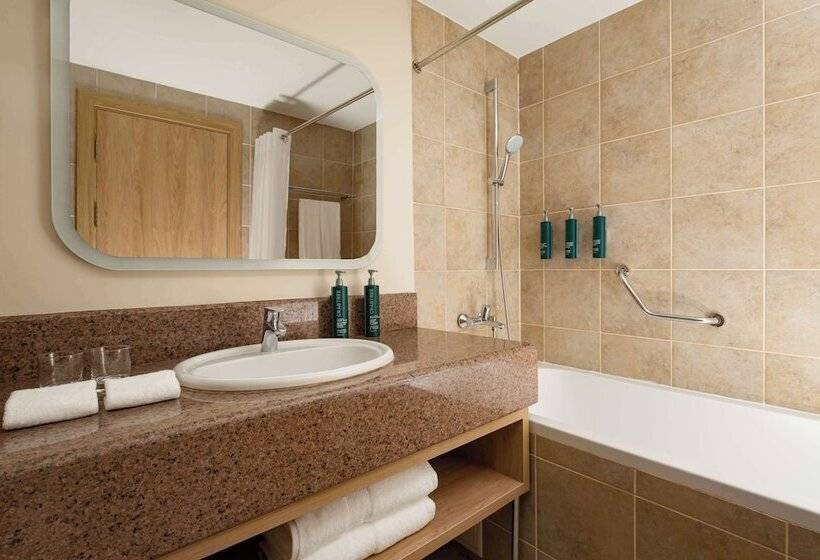 اتاق لوکس, Doubletree By Hilton Shymkent