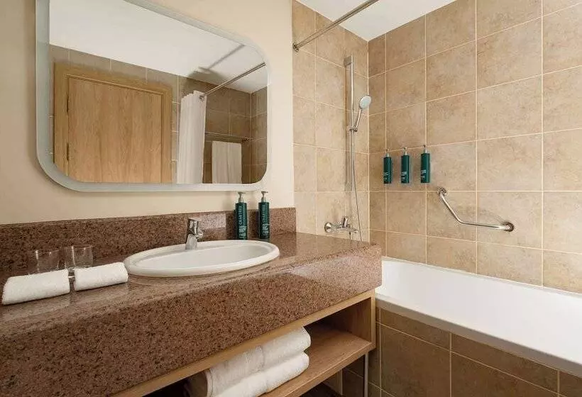 اتاق لوکس, Doubletree By Hilton Shymkent