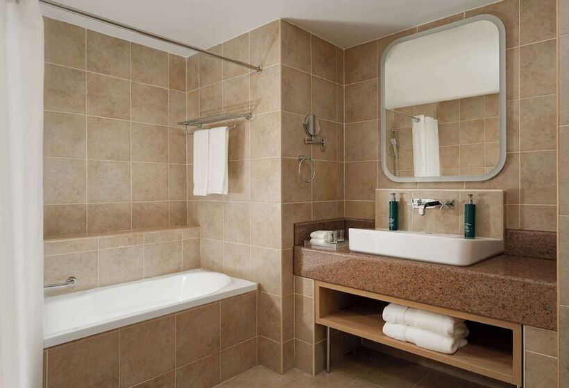 سوییت, Doubletree By Hilton Shymkent