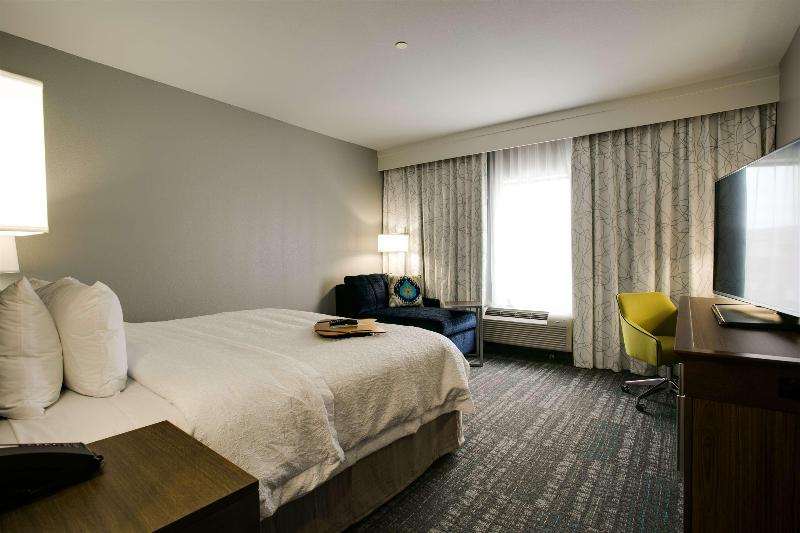 キングサイズベッドのスタンダードルーム, Hampton Inn & Suites Dallas/ft. Worth Airport South