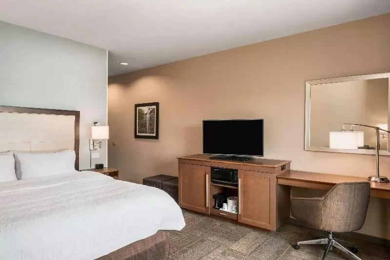 キングサイズベッドのスタンダードルーム, Hampton Inn & Suites Lavonia