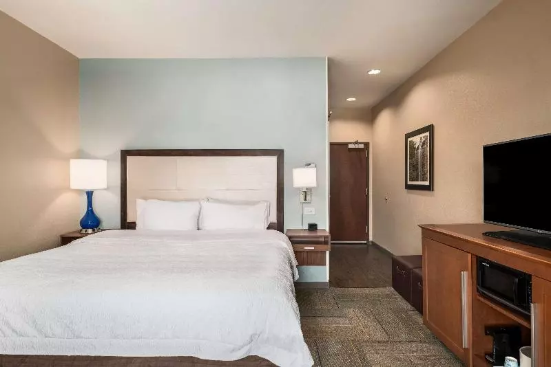 キングサイズベッドのスタンダードルーム, Hampton Inn & Suites Lavonia