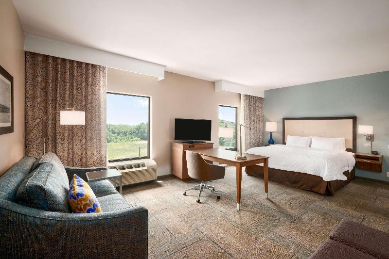 Студио Стандарт Кровать Кинг, Hampton Inn & Suites Lavonia